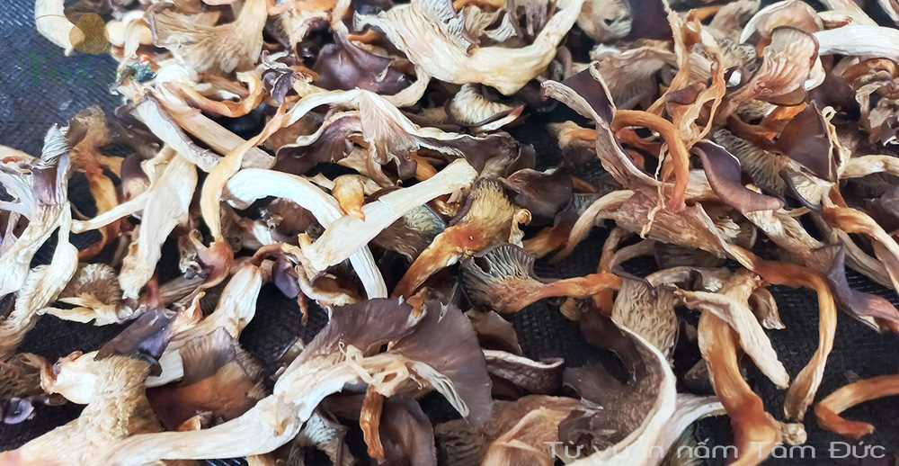 Nấm khô dùng để làm gì