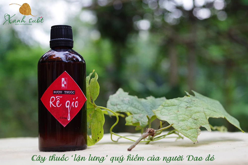 Rượu thuốc rễ gió của người Dao đỏ