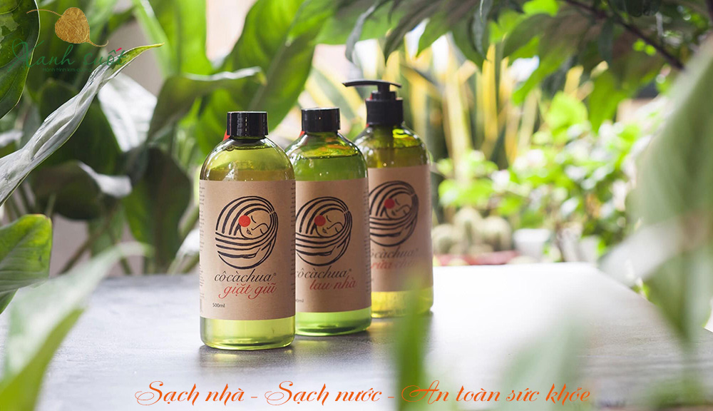 Các sản phẩm nước rửa của cô cà chua