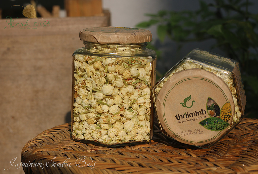 Jasmine- Jasminum Sambac- Arabian Jasmine