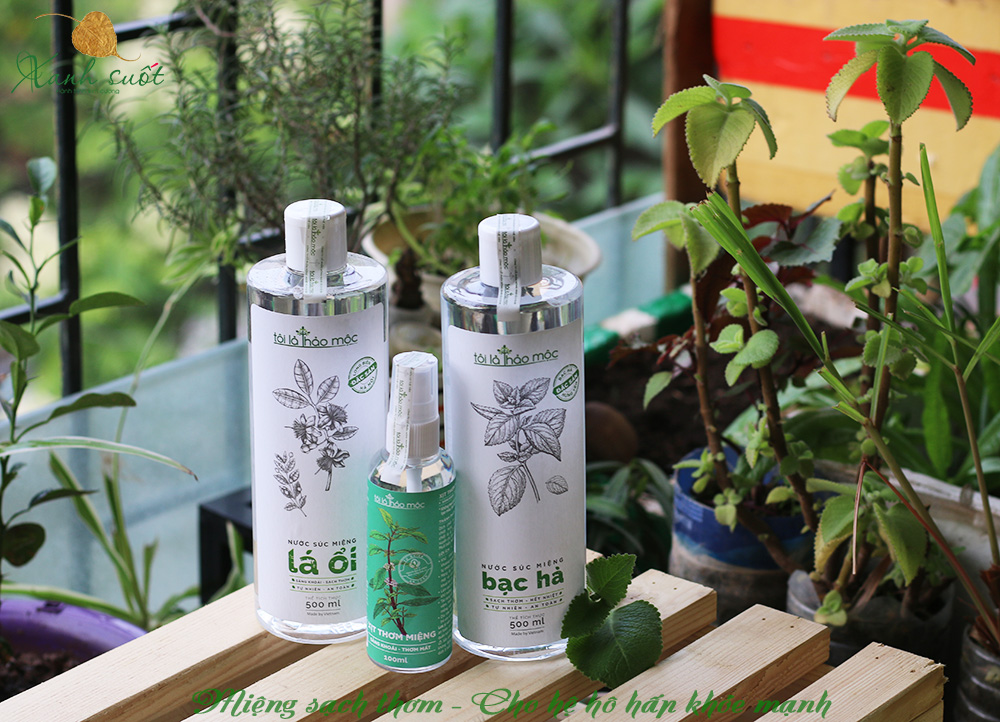 Chăm sóc sức khỏe răng miệng từ thảo mộc