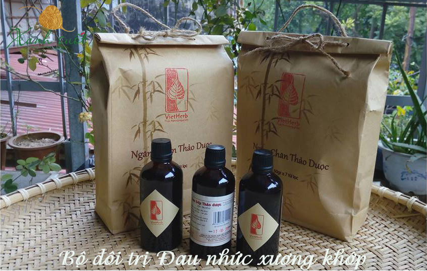 Trị đau nhức xương khớp của người Tày