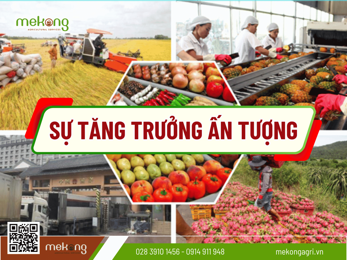 Nông nghiệp Việt tăng trưởng ấn tưởng chỉ trong 3 quý năm 2024