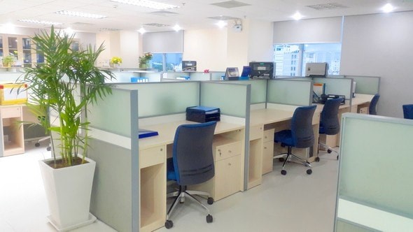 Màu sắc của gỗ làm căn phòng sáng và nổi bật