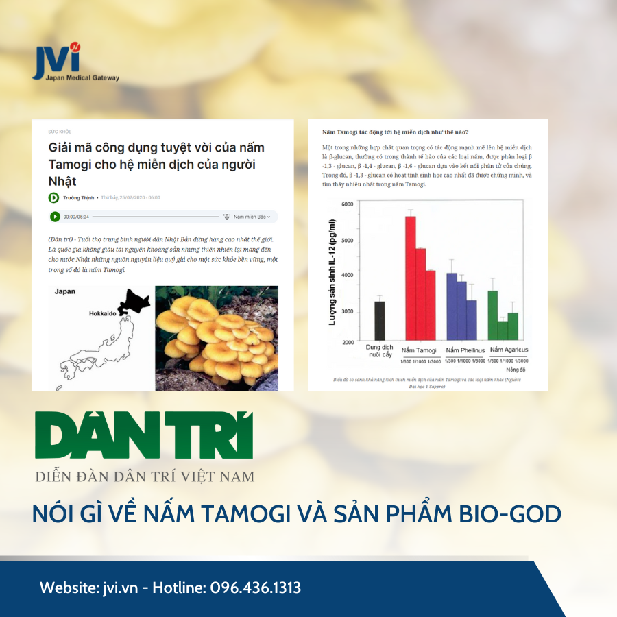 BÁO DÂN TRÍ NÓI GÌ VỀ NẤM TAMOGI VÀ SẢN PHẨM BIO-GOD