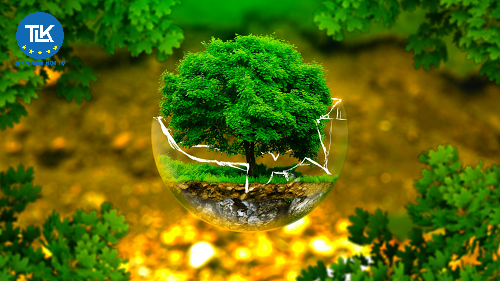 thu-tuc-cap-giay-phep-moi-truong