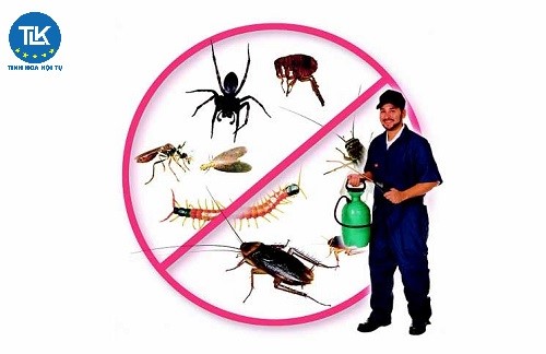 thu-tuc-dang-ky-cap-lai-giay-chung-nhan-dang-ky-luu-hanh-che-pham-diet-con-trung-diet-khuan-dung-trong-linh-vuc-gia-dung-va-y-te