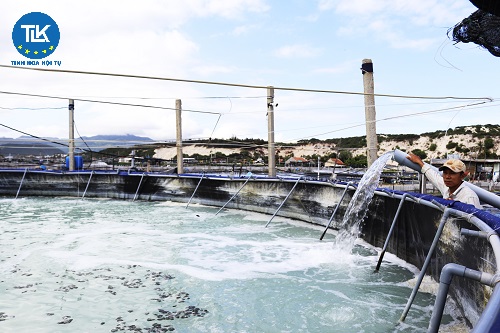 cap-lai-giay-phep-khai-thac-su-dung-nuoc-duoi-dat-doi-voi-cong-trinh-co-luu-luong-tu-3000m3-ngay-dem-tro-len