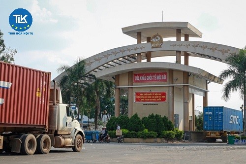 cap-lai-giay-phep-lien-van-gms