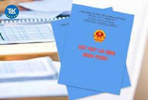 cap-lai-giay-phep-lao-dong-cho-nguoi-lao-dong-nuoc-ngoai-lam-viec-tai-viet-nam-cap-trung-uong