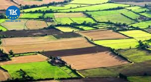 thu-tuc-cap-giay-phep-hoat-dong-xay-dung-cho-nha-thau-nuoc-ngoai-thuoc-du-an-nhom-a-du-an-tren-dia-ban-hai-tinh-tro-len