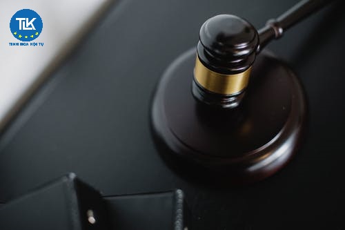 bien-phap-dieu-tra-to-tung-dac-biet-duoc-quy-dinh-nhu-the-nao