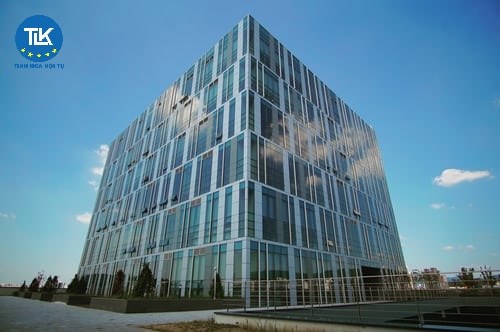 cat-giam-don-gian-hoa-thu-tuc-hanh-chinh-lien-quan-den-hoat-dong-kinh-doanh-linh-vuc-hang-hai