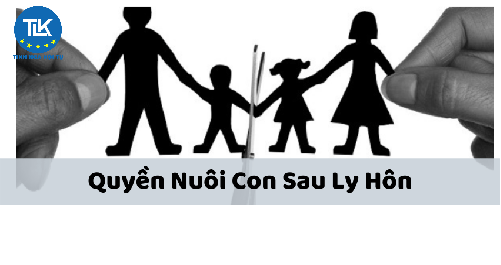 thu-tuc-yeu-cau-cong-nhan-thoa-thuan-cua-cha-me-ve-thay-doi-nguoi-truc-tiep-nuoi-con-sau-khi-ly-hon-hoac-cong-nhan-viec-thay-doi-nguoi-truc-tiep-nuoi-con-sau-khi-ly-hon-cua-co-quan-to-chuc-ca-nhan-theo-quy-dinh-cua-phap-luat-ve-hon-nhan-va-gia-dinh