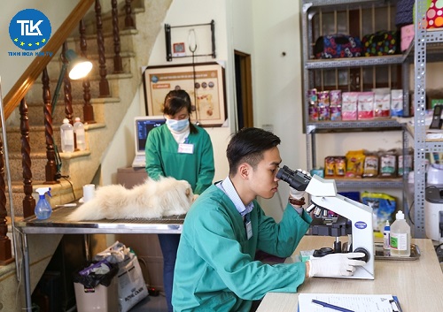 thu-tuc-de-nghi-gia-han-giay-chung-nhan-luu-hanh-thuoc-thu-y