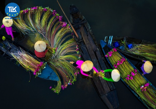 thu-tuc-cap-giay-phep-trien-lam-tac-pham-nhiep-anh-tai-viet-nam-tham-quyen-cua-bo-van-hoa-the-thao-va-du-lich