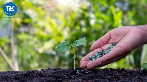 thu-tuc-cap-giay-chung-nhan-du-dieu-kien-san-xuat-phan-bon