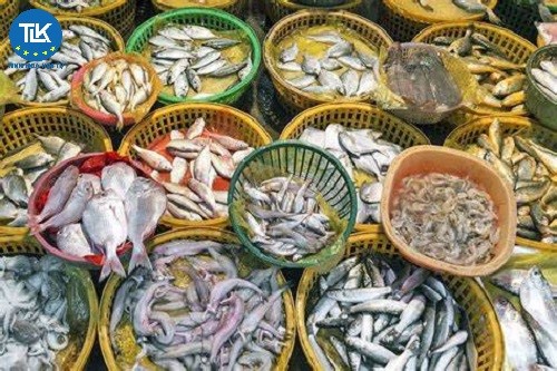 thu-tuc-de-nghi-cap-lai-giay-chung-nhan-an-toan-thuc-pham-cho-lo-hang-thuc-pham-thuy-san-xuat-khau