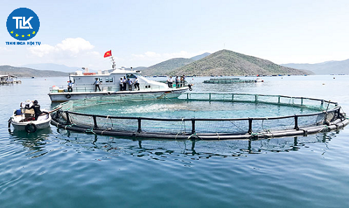 thu-tuc-de-nghi-cap-cap-lai-gia-han-giay-phep-hoat-dong-cho-to-chuc-ca-nhan-nuoc-ngoai-co-tau-hoat-dong-thuy-san-trong-vung-bien-viet-nam