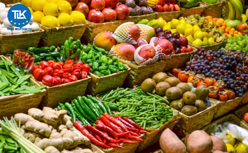 cap-giay-chung-nhan-kiem-dich-thuc-vat-xuat-khau-tai-xuat-khau