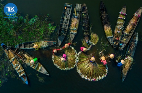 thu-tuc-cap-giay-phep-trien-lam-tac-pham-nhiep-anh-tai-viet-nam-tham-quyen-cua-bo-van-hoa-the-thao-va-du-lich