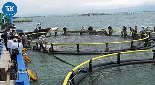 thu-tuc-de-nghi-cap-giay-xac-nhan-nguyen-lieu-thuy-san-khai-thac-trong-nuoc-theo-yeu-cau