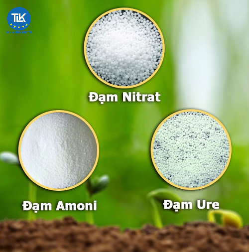 cap-quyet-dinh-cong-nhan-to-chuc-khao-nghiem-phan-bon