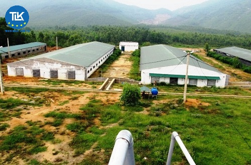 thu-tuc-de-nghi-cap-giay-chung-nhan-du-dieu-kien-chan-nuoi-doi-voi-chan-nuoi-trang-trai-quy-mo-lon