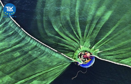 thu-tuc-cap-giay-phep-thanh-lap-va-hoat-dong-cua-co-so-van-hoa-nuoc-ngoai-tai-viet-nam