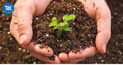 thu-tuc-cap-giay-chung-nhan-du-dieu-kien-san-xuat-phan-bon