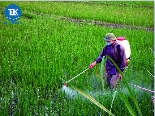 thu-tuc-cap-giay-xac-nhan-noi-dung-quang-cao-thuoc-bao-ve-thuc-vat