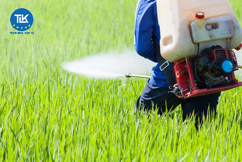 thu-tuc-cap-giay-chung-nhan-co-so-du-dieu-kien-an-toan-thuc-pham-doi-voi-co-so-san-xuat-thuc-pham-kinh-doanh-dich-vu-an-uong