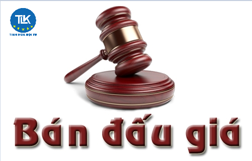 lap-ho-so-khong-ho-so-gia-tham-gia-hoat-dong-ban-dau-gia-tai-san-co-bi-truy-cuu-tnhs-khong