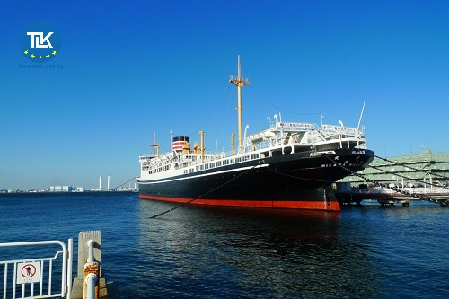 thu-tuc-doi-voi-hang-hoa-nhap-khau-hoac-hang-hoa-xuat-khau-dong-ghep-voi-hang-hoa-qua-canh-gui-qua-dich-vu-chuyen-phat-nhanh-quoc-te