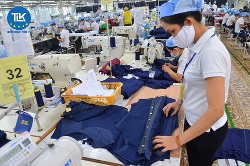 thu-tuc-hai-quan-doi-voi-hang-hoa-dua-vao-dua-ra-khu-thuong-mai-tu-do-khu-phi-thue-quan