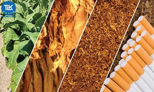 thu-tuc-xin-cap-giay-phep-mua-ban-nguyen-vat-lieu-thuoc-la