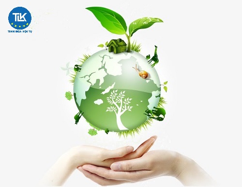 thu-tuc-cap-giay-chung-nhan-an-toan-sinh-hoc-doi-voi-cay-trong-bien-doi-gen