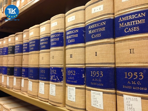 the-nao-la-loi-trong-trach-nhiem-dan-su