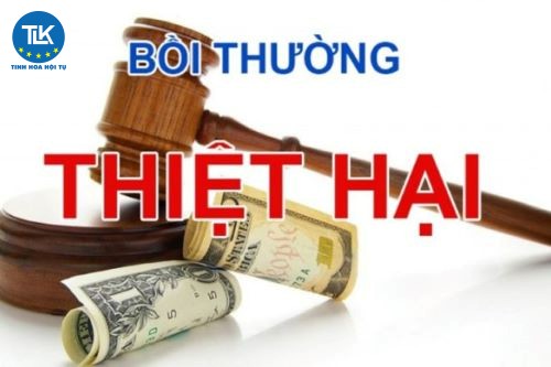 thanh-vien-co-dong-nhan-danh-cong-ty-tu-y-thanh-toan-khoan-no-chua-den-han-ma-gay-thiet-hai-den-cong-ty-thi-xu-ly-the-nao