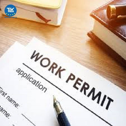 cap-lai-giay-phep-lao-dong-cho-nguoi-lao-dong-nuoc-ngoai-lam-viec-tai-viet-nam-cap-trung-uong