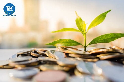 thu-tuc-rut-nghiep-vu-kinh-doanh-chung-khoan-cua-cong-ty-chung-khoan