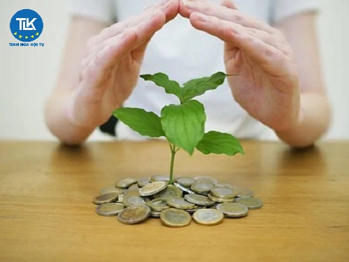 thu-tuc-rut-nghiep-vu-dong-cua-chi-nhanh-phong-giao-dich-van-phong-dai-dien-trong-nuoc-cua-cong-ty-chung-khoan-cong-ty-quan-ly-quy-dau-tu-chung-khoan