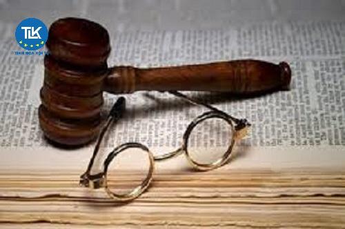 nang-luc-hanh-vi-dan-su-bi-han-che-la-gi-nguoi-co-nang-luc-hanh-vi-dan-su-bi-han-che-co-phai-chiu-trach-nhiem-truoc-phap-luat-khong