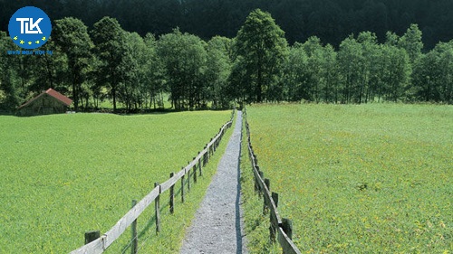 quyen-so-huu-va-quyen-khac-doi-voi-tai-san-la-gi-dac-diem-cua-nhung-quyen-nay