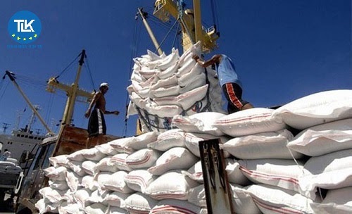 chung-nhan-chung-loai-gao-thom-xuat-khau-sang-lien-minh-chau-au