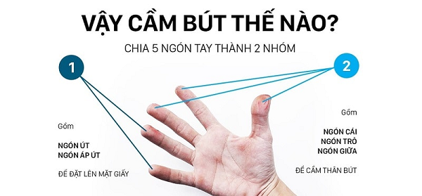 Hướng dẫn cầm bút chi tiết