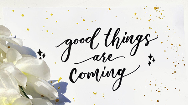 Viết Faux Calligraphy kiểu cơ bản, ít chi tiết nhưng vẫn có sự biến tấu linh hoạt