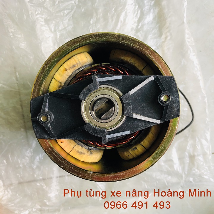 Bộ nguồn xe nâng điện DC 12V