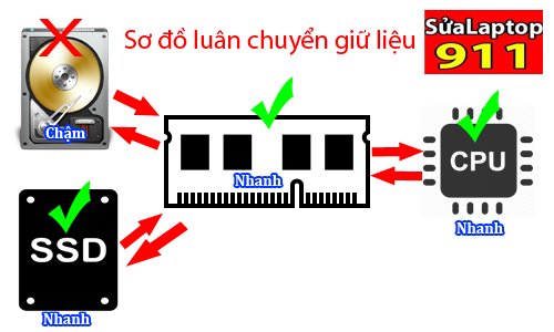 ổ cứng SSD giá rẻ