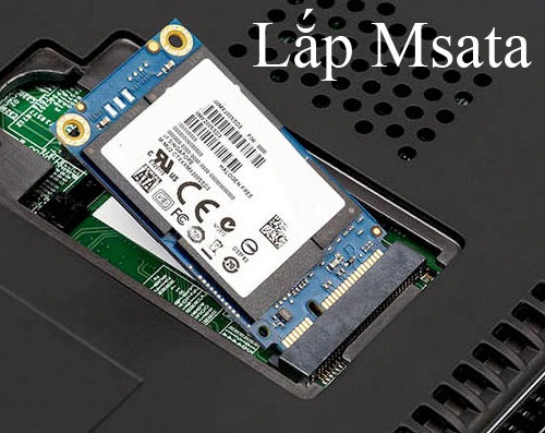 lắp ssd msata